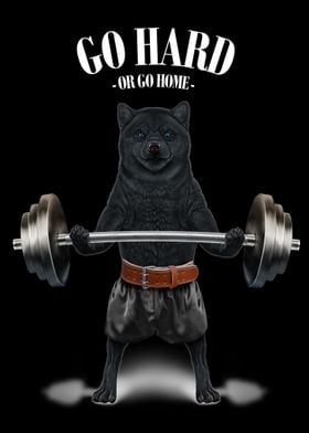 Shiba Dog Weightlifting