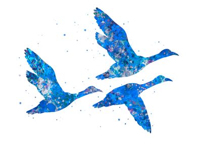 Duck flying blue art