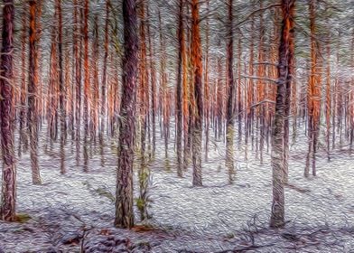 Winter scenery in Woods