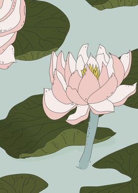 China lily Pond