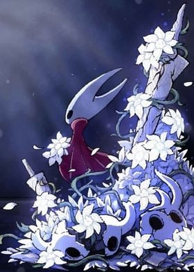 Hollow Knight