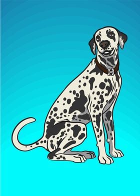 Sitting Dalmatian dog