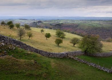 The green fields of Carmar