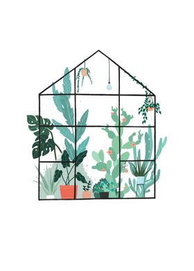 Plant Greenhouse 