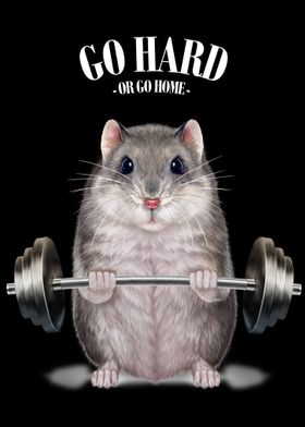 Grey Hamster Weightlifting