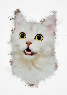 White Cat Aesthetic