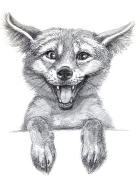 funny Fox cub G21 008