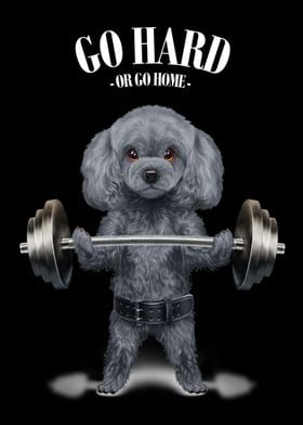 Poodle Dog Weightlifting