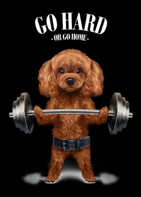 Poodle Dog Weightlifting