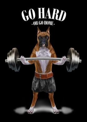 Boxer Dog Weightlifting