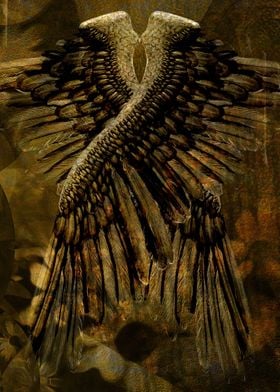 Wings of fallen angel