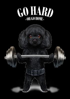 Poodle Dog Weightlifting