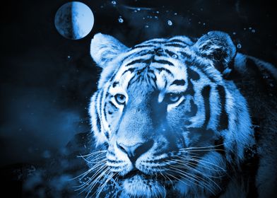 Tiger classic blue