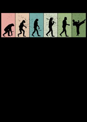 Karate Evolution