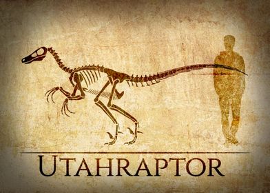 Utahraptor Skeleton