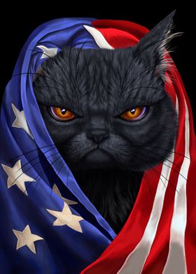 Black Cat USA Patriot