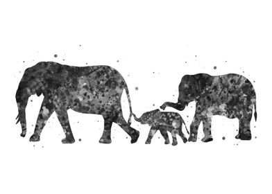 Elephant family