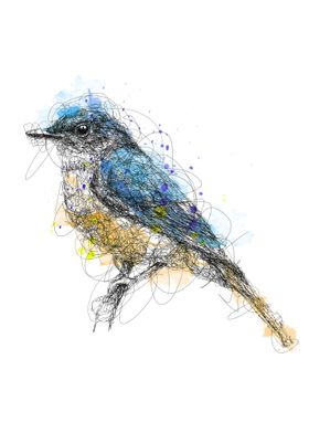 bluebird scribbleart