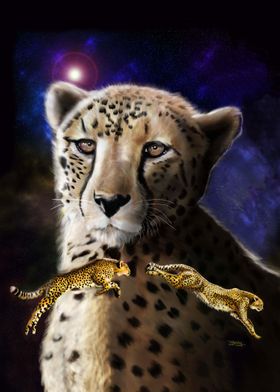 Cheetah on the Run