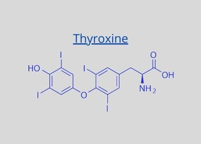 Thyroxine T4 levothyroxi