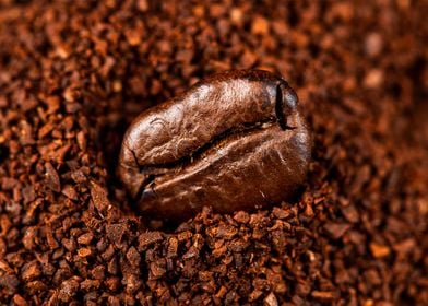 Coffee beans texture