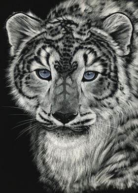 Snow Dragon Leopard