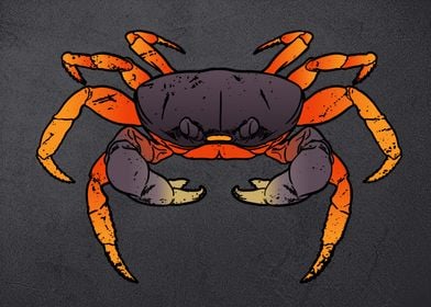 Hard king crab