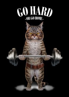 Tabby Cat Weightlifting