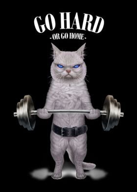 White Cat Weightlifting