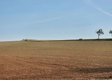 fields plowed in the autum