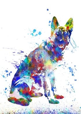 German Shepherd 