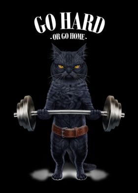 Black Cat Weightlifting