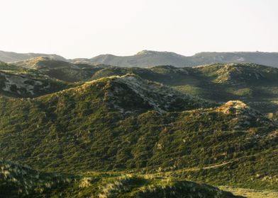 Sylt island dune landscape