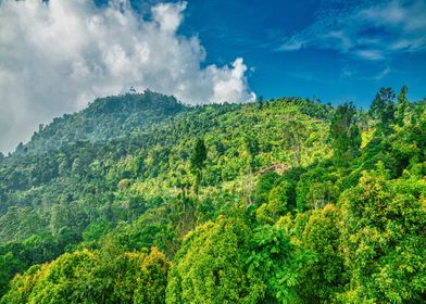 blue mountain green cloud