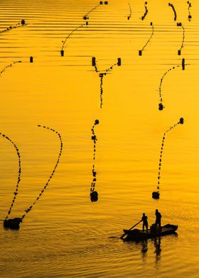 yellow water boat people