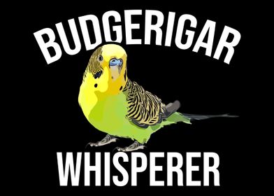 Budgerigar Whisperer Budge