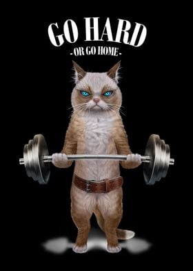 Siamese Cat Weightlifting