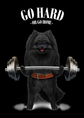 Pomeranian Weightlifting