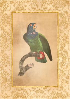 Vintage parrot