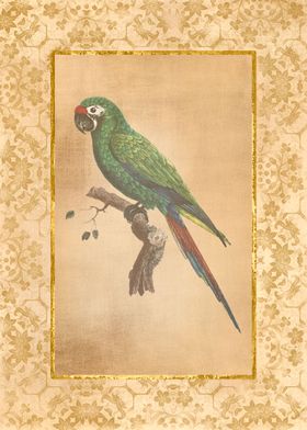 Vintage Parrot