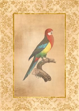 Vintage Parrot