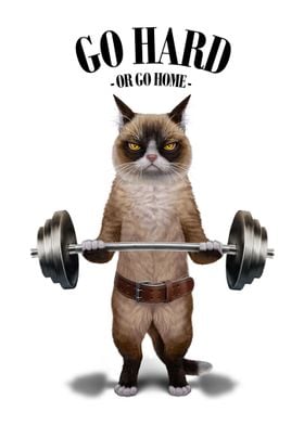 Siamese Cat Weightlifting