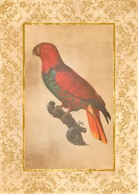 Vintage Parrot