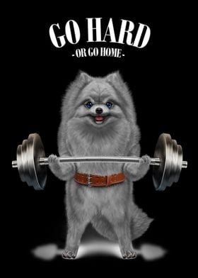 Pomeranian Weightlifting