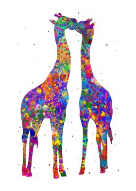 Giraffe couple