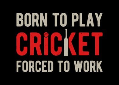 Funny Cricket