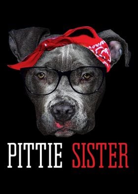 Pittie Sister Pitbull Dog