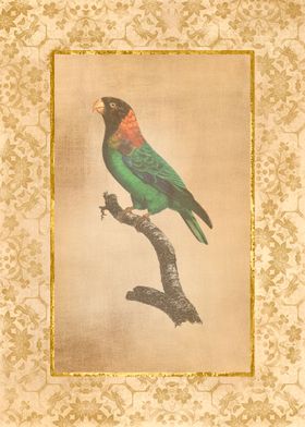 Vintage Parrot