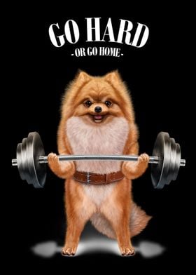 Pomeranian Weightlifting