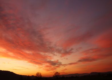 orange yellow tree cloud